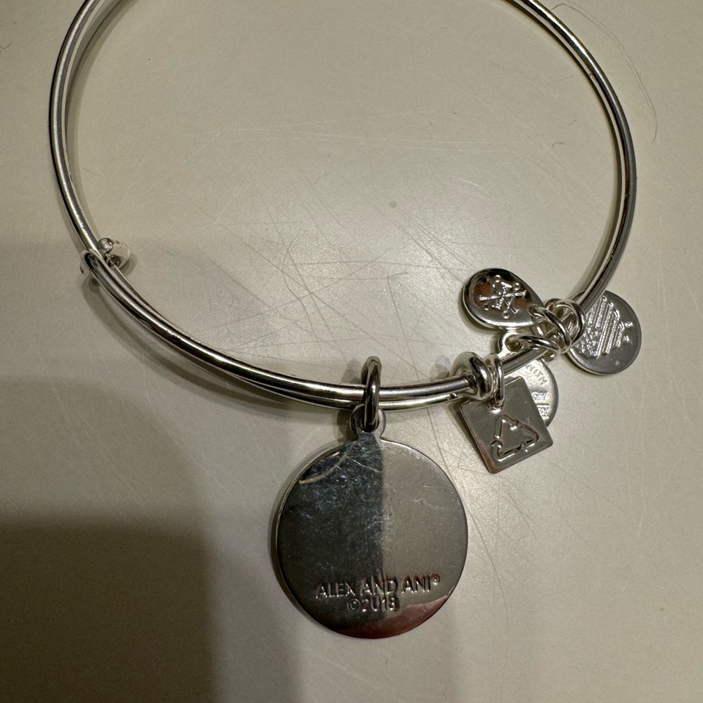 Alex and Ani silver bracelet, never give up